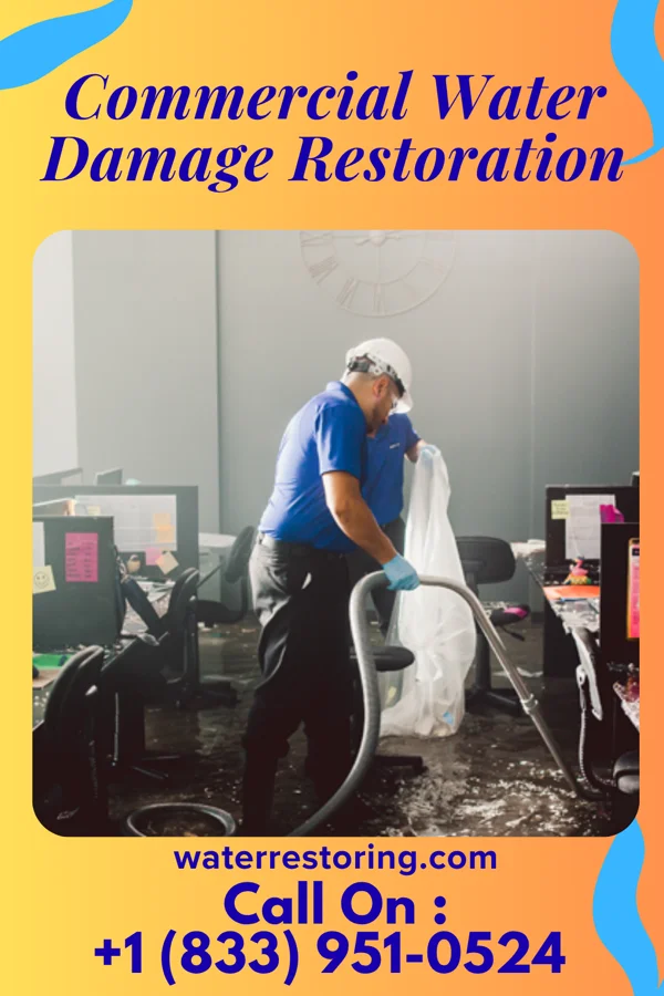 Commercial Water Damage Restoration in Bosque Farms, NM
